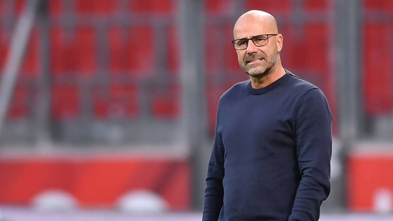 Bayer-Coach Bosz warnt vor Glasgow