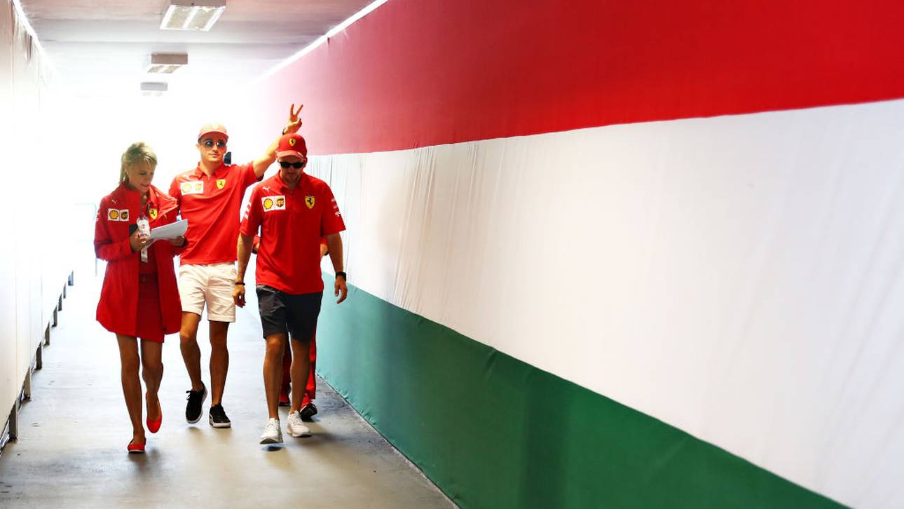 „Platzhirsch“ Vettel gerät in Gefahr