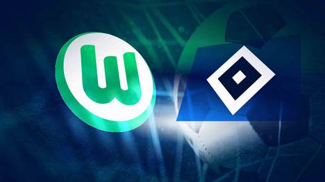 Der VfL Wolfsburg II empfängt in der Regionalliga Nord die zweite Mannschaft des HSV