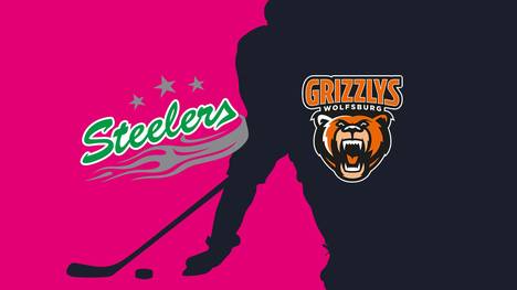 Bietigheim Steelers - Grizzlys Wolfsburg: Tore und Highlights | PENNY DEL