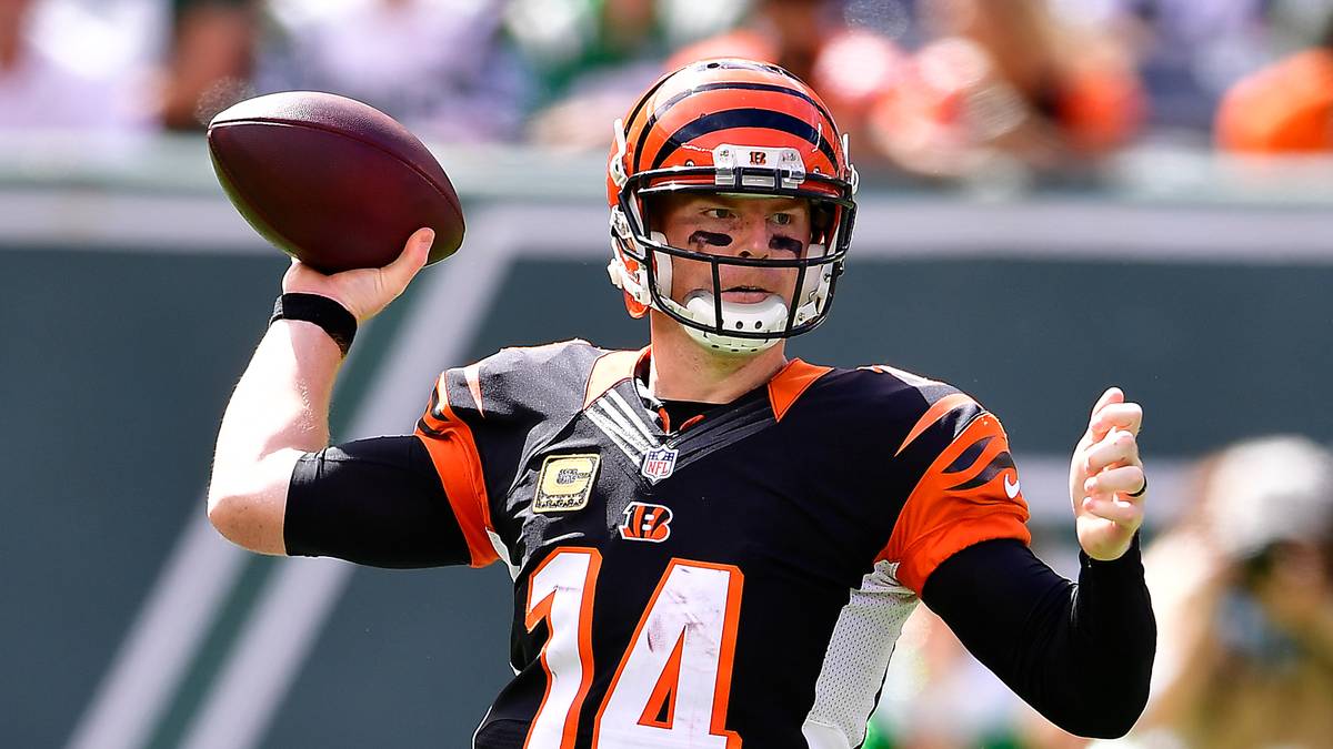 RANG 30: CINCINNATI BENGALS                                                                                                                      1,68 Milliarden Dollar                                                                                                                                            329 Millionen Dollar