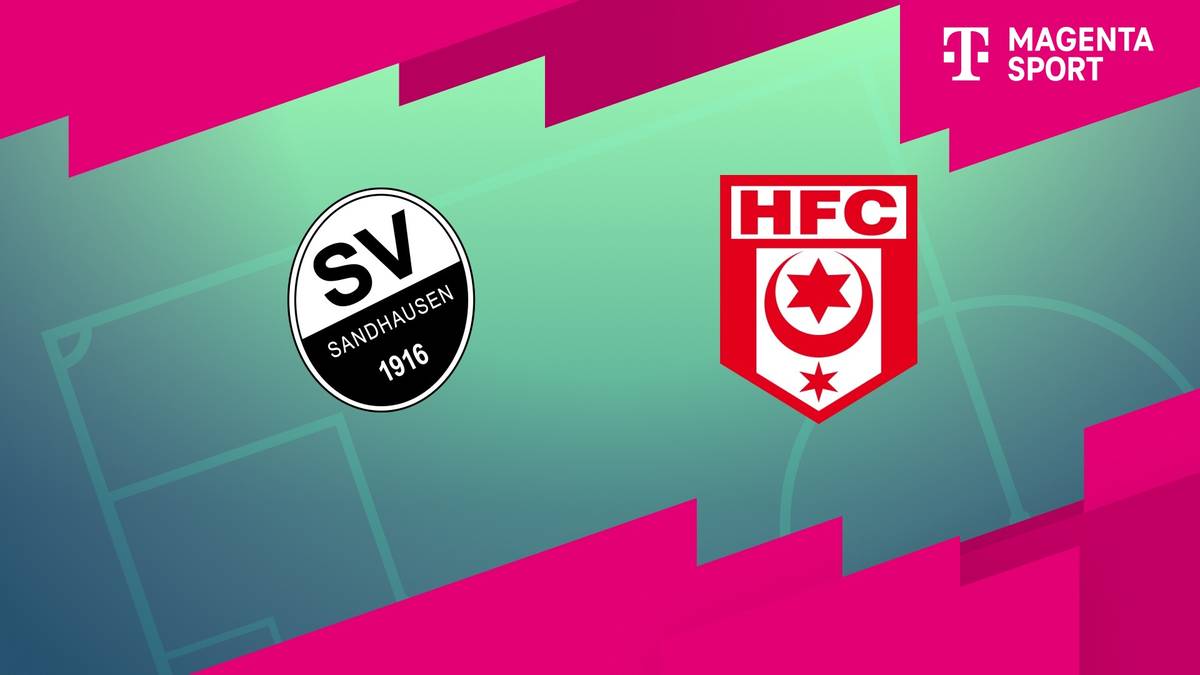 SV Sandhausen - Hallescher FC (Highlights)