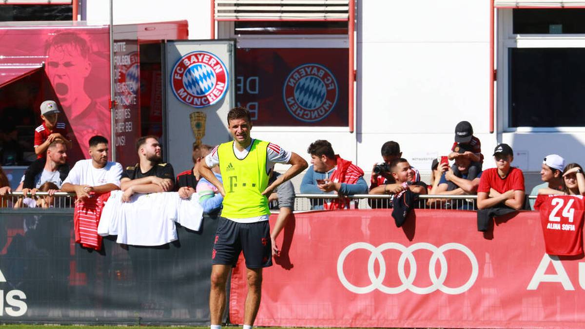 "Tut uns leid": Bittere Nachricht für Bayern-Fans