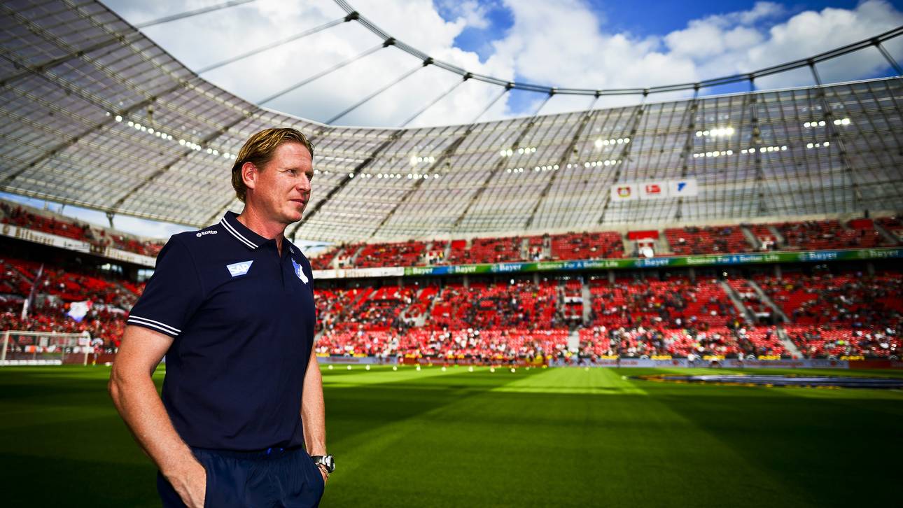 VfB nimmt erneut Gisdol ins Visier