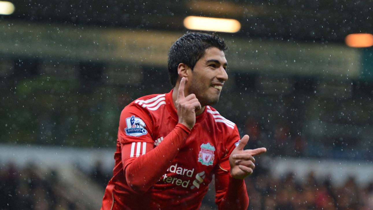 Schnappschildkröte vor Mega-Deal