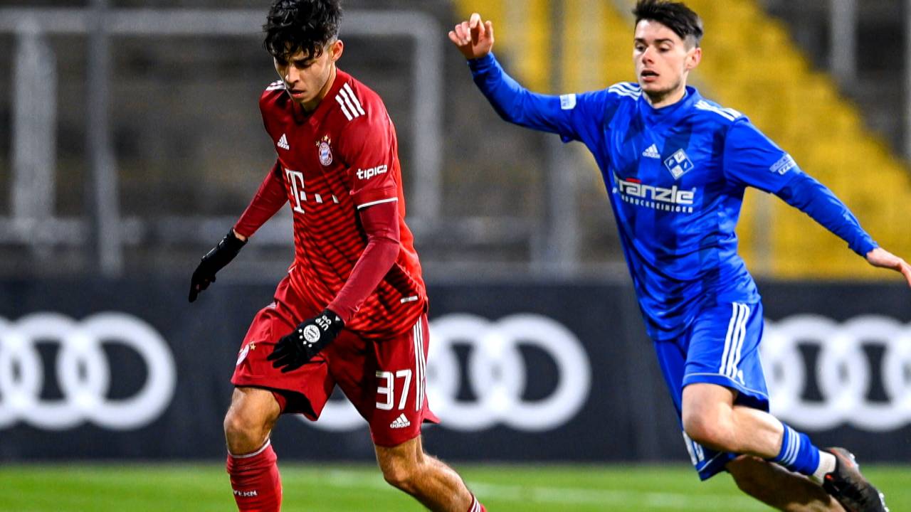 So plant Bayern mit Ibrahimović