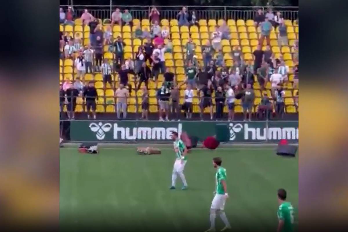 Die Fans des litauischen Erstligisten FK Zalgiris Vilnius fordern den Rücktritt ihres Cheftrainers Vladimir Cherubin - und das auf eine sehr spektakuläre Art und Weise. 