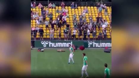 Die Fans des litauischen Erstligisten FK Zalgiris Vilnius fordern den Rücktritt ihres Cheftrainers Vladimir Cherubin - und das auf eine sehr spektakuläre Art und Weise. 