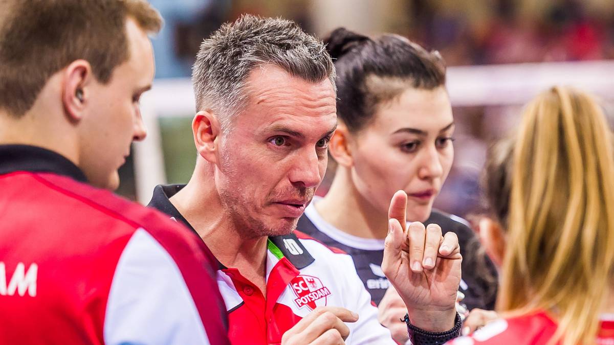 PLATZ 4 - SC POTSDAM: Potsdam blickt mit dem Einzug ins Playoff-Halbfinale auf eine erfolgreiche Saison zurück. Das Team von Trainer Guillermo Naranjo Hernández hat sich mit einigen namhaften Spielerinnen verstärkt. Darunter auch die Nationalspielerinnen und Rückkehrerinnen Nationalspielerinnen Lisa Gründing und Denise Imoudu  