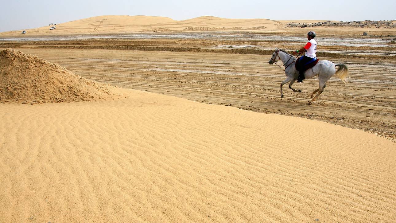 Rennen wegen Tierquälerei gestrichen