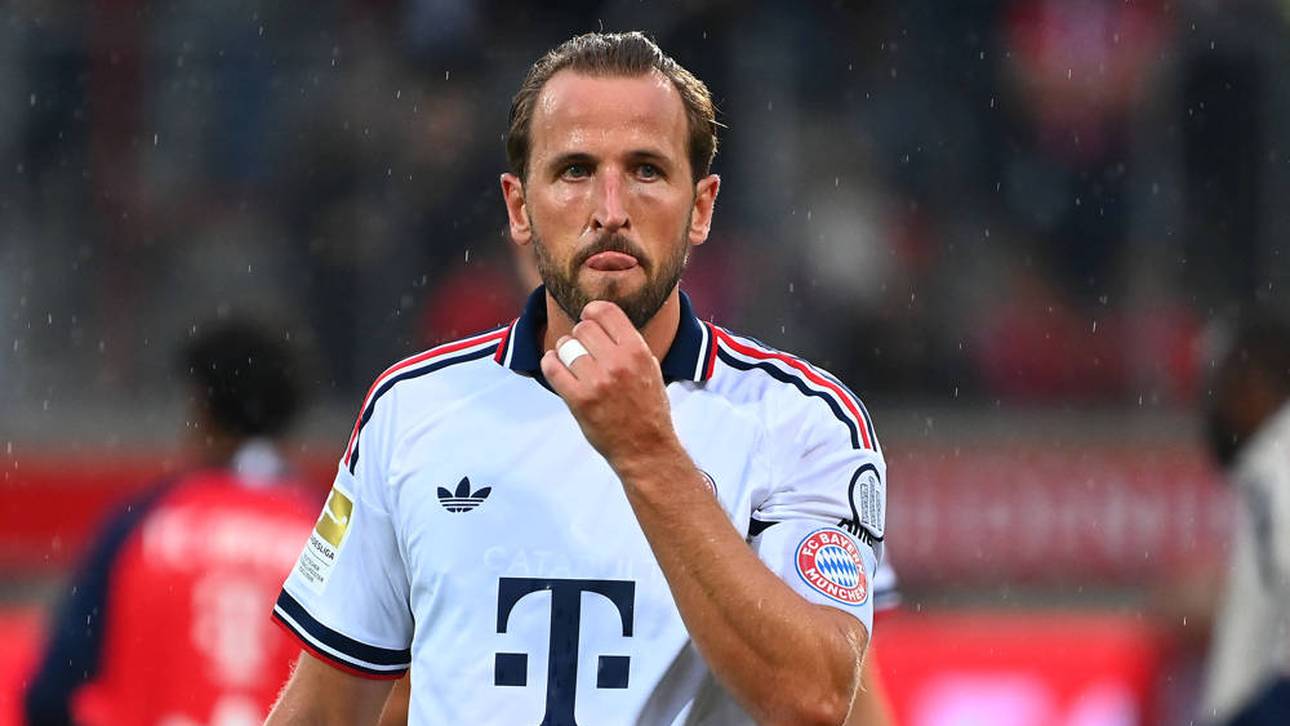 Kane? Das sagen die Bayern-Bosse
