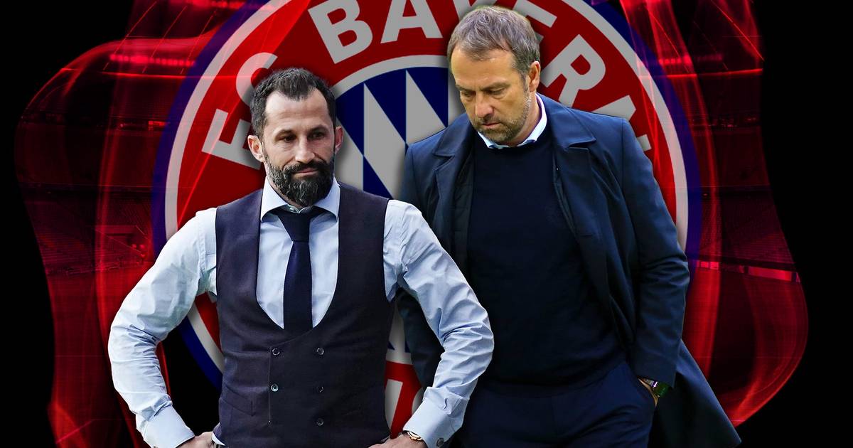Nach Attacke von Stenger: Was hat Hasan Salihamidzic  in den Sand gesetzt? 