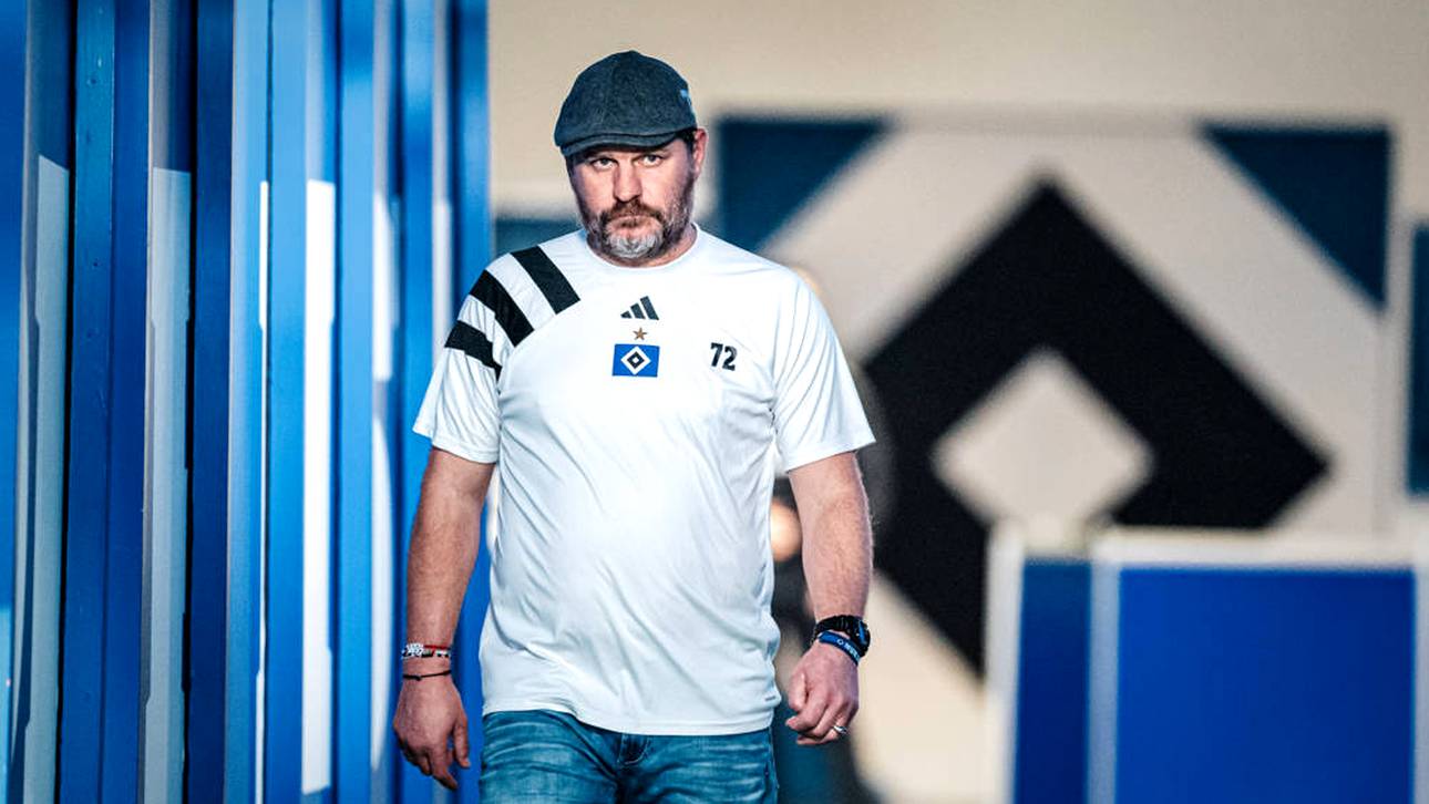 Steffen Baumgart - nie der richtige Mann für den HSV?