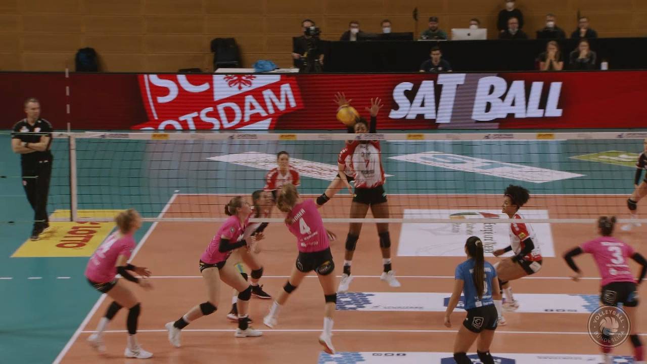 Volleyball Bundesliga: SC Potsdam schlägt VC Wiesbaden