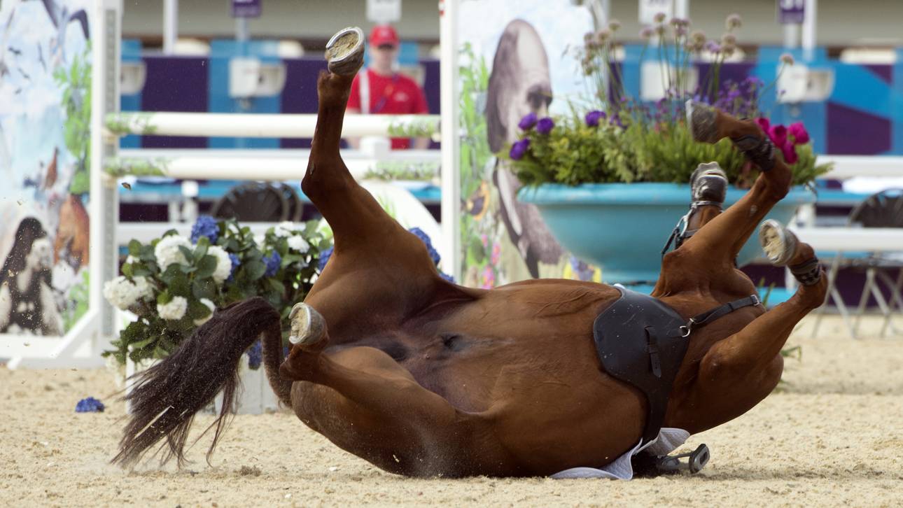 Reiterin stirbt bei Wettkampf