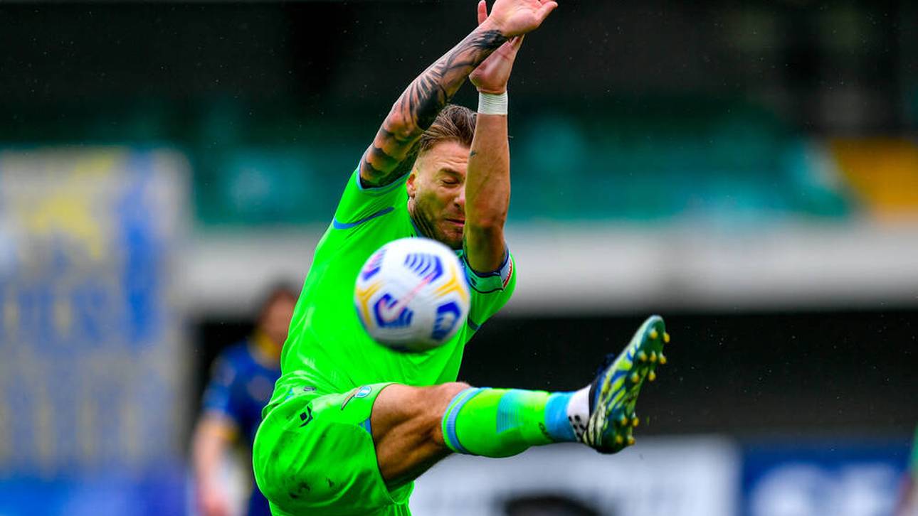 Immobile muss DNA-Test machen