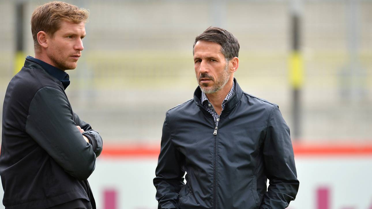 Löwen-Scout klagt gegen Rauswurf