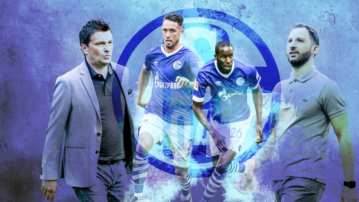 Schalke ist auch so bereit für die Zukunft. SPORT1 bewertet Stützen und Hoffnungsträger des neuen Kaders