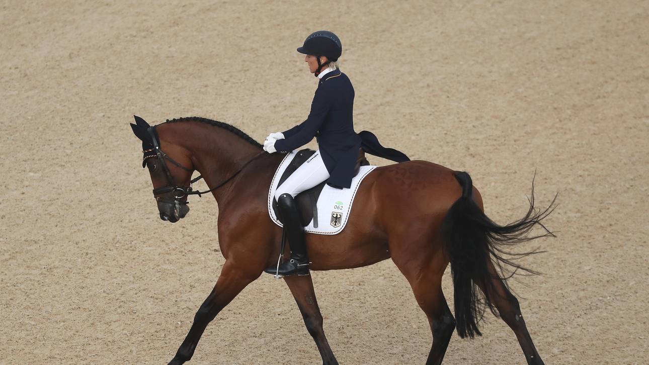 Vielseitigkeitsreiter starten stark