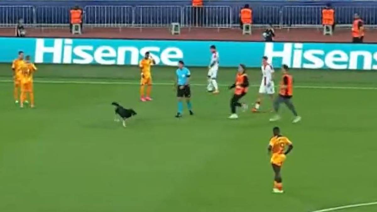 Ein Hund sorgt bei der U21-EM für eine kuriose Unterbrechung