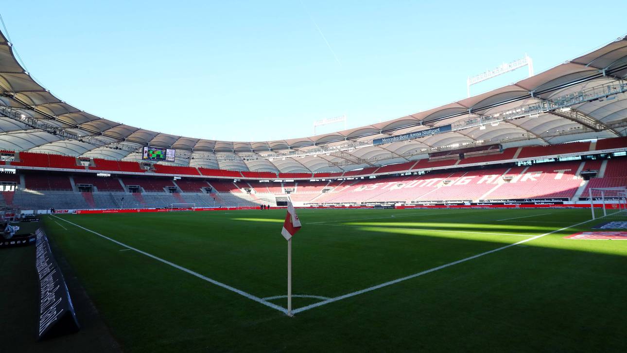 VfB-Stadion: Füchse richten Riesen-Schaden an