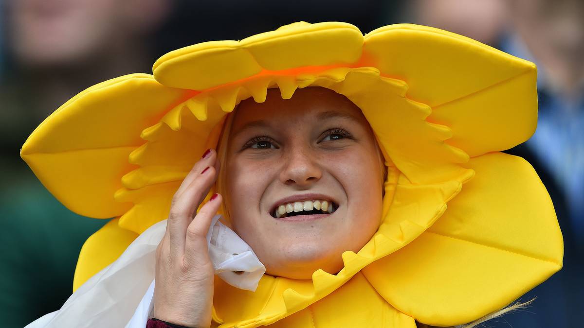 Zahlreiche weibliche Fans der Waliser verzücken dagegen mit einem Narzissen-Outfit - die Nationalblume von Wales