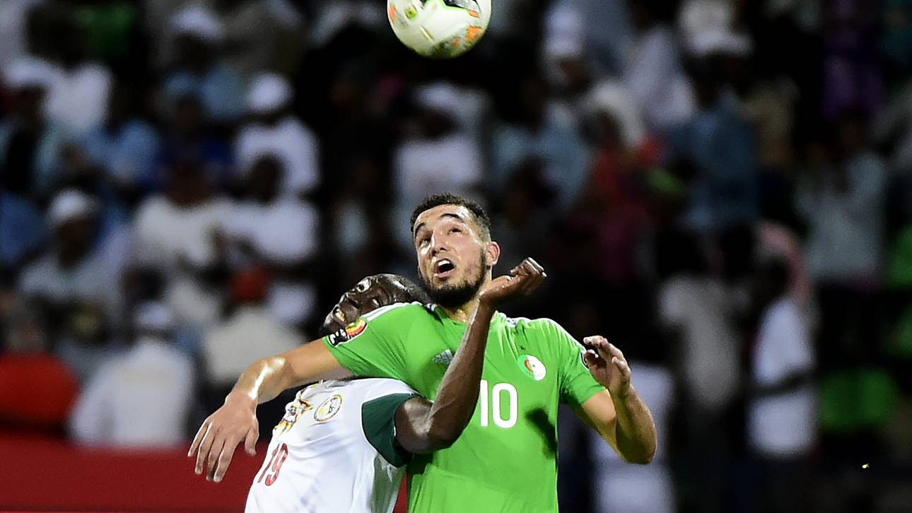 Algeriens Aus erfreut Schalke