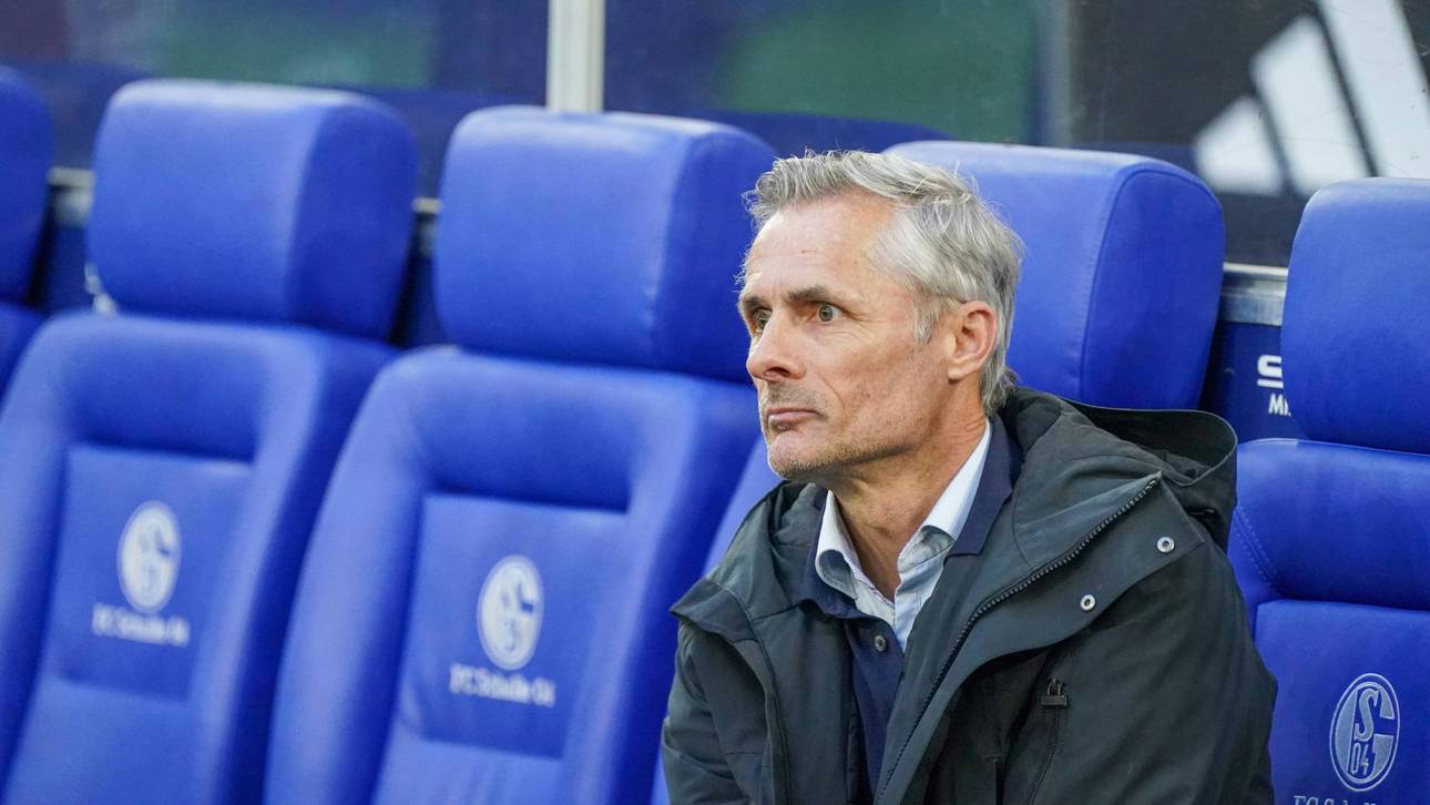 Nach Aussagen: Schalker Vereinsführung kritisiert van Wonderen