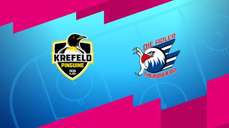 Krefeld Pinguine - Adler Mannheim: Tore und Highlights | PENNY DEL