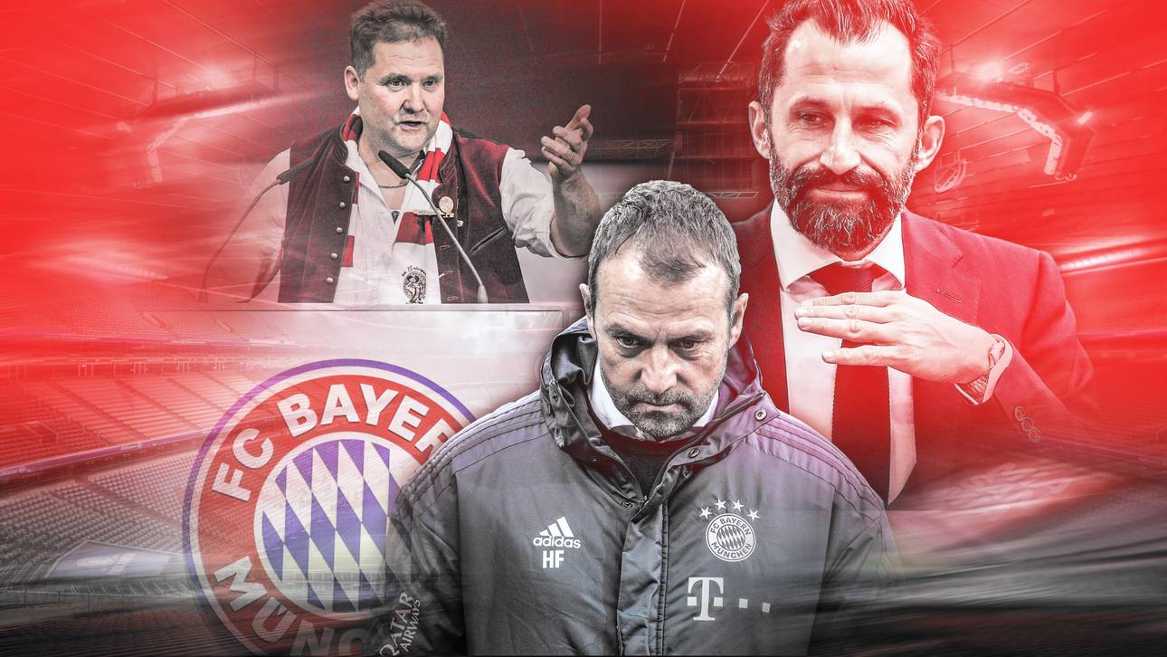 Fanklub-Boss: Verständnis für Flick