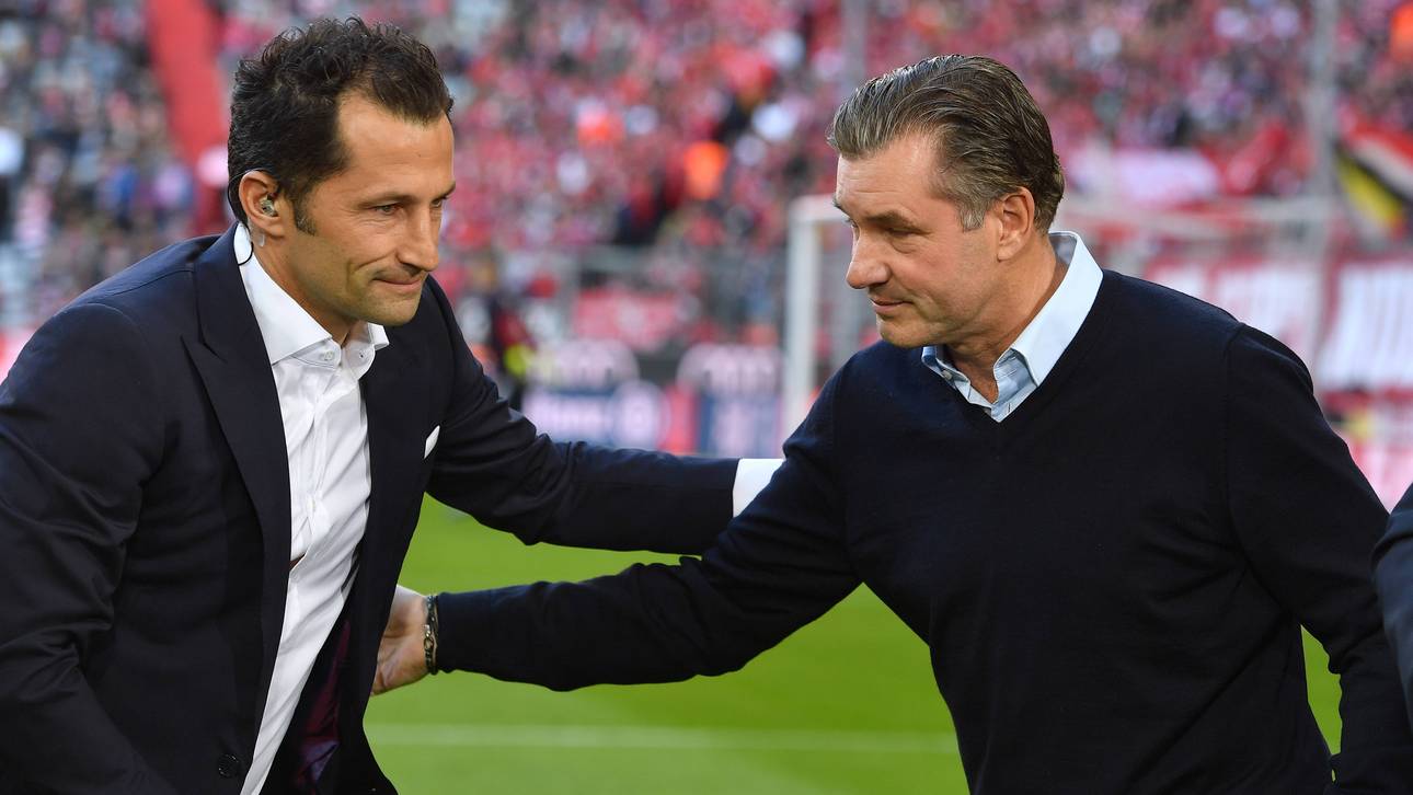 Sammer: Das fehlt Salihamidzic