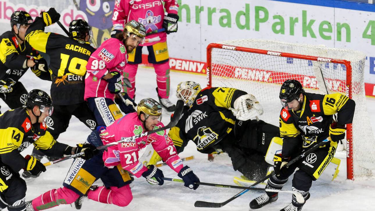 Auch Eisbären schießen Pinguine ab