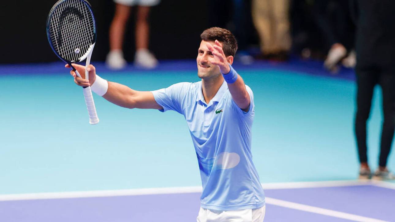 Kurios! Käfer nach Djokovic benannt
