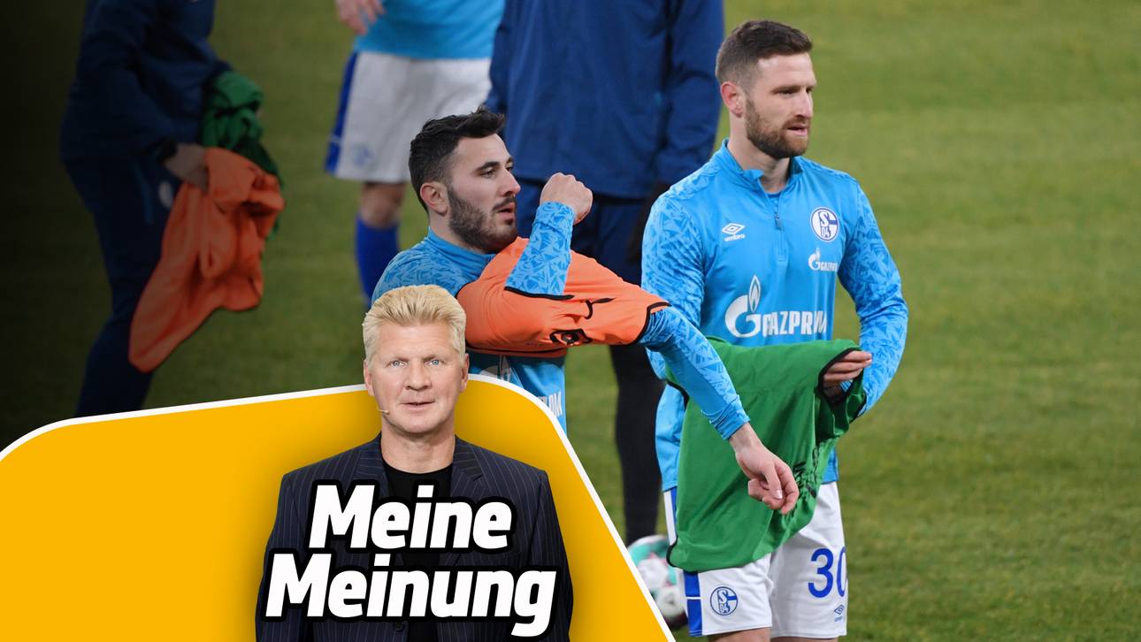 Das fordert Effenberg von Schalke