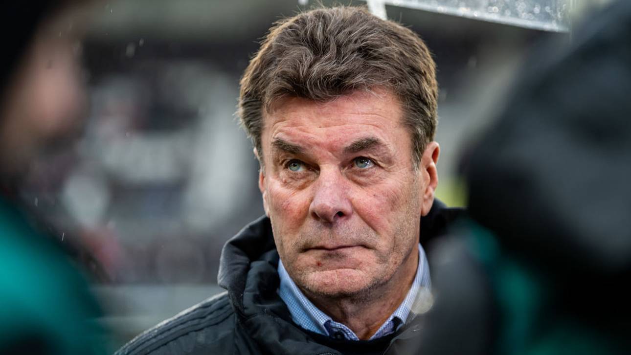 Hecking: Bundestrainer-Job reizvoll