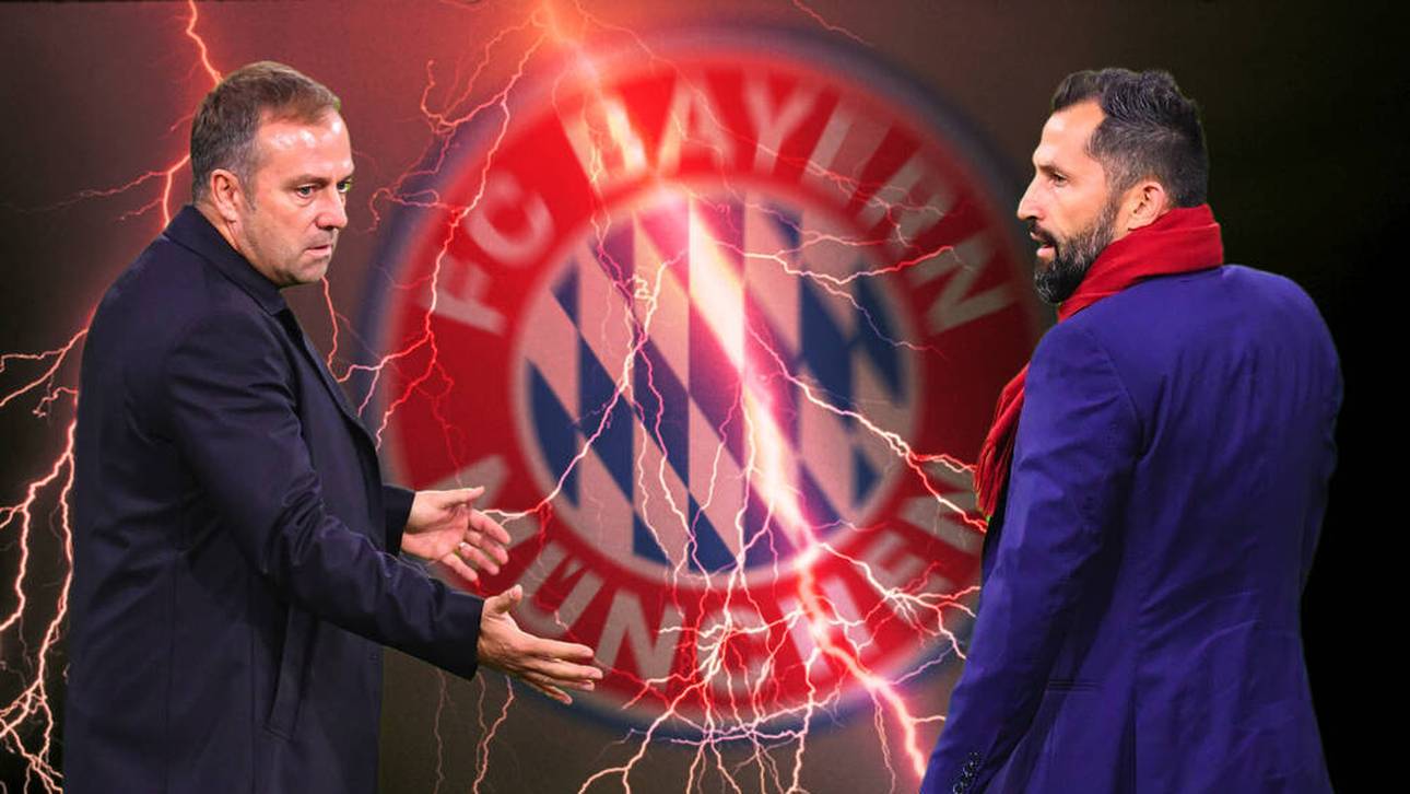 User fordern Salihamidzic-Aus