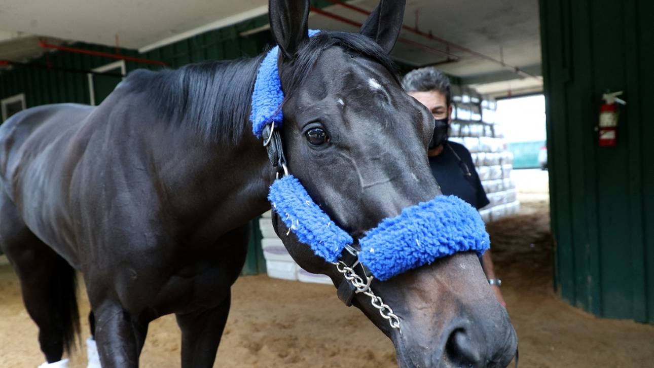 Medina Spirit versehentlich gedopt
