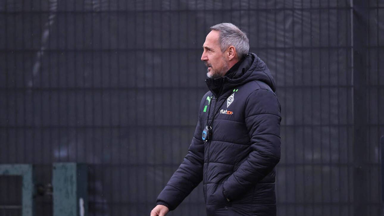 Fans glauben an Hütter-Entlassung