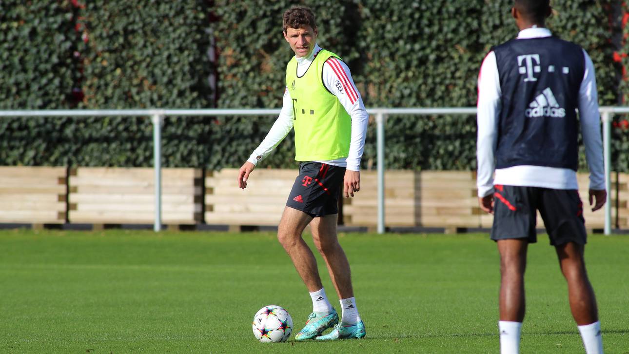 So sieht der Müller-Plan aus