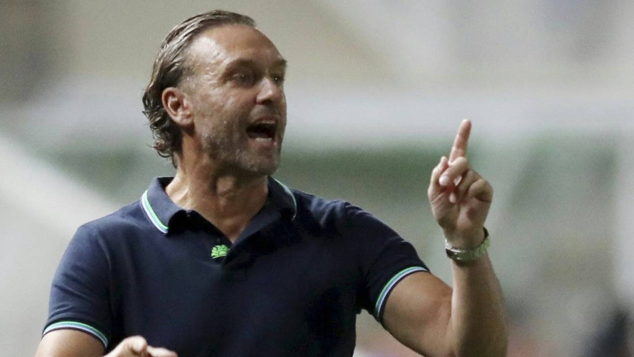 Stadion-Katastrophe: Doll will helfen