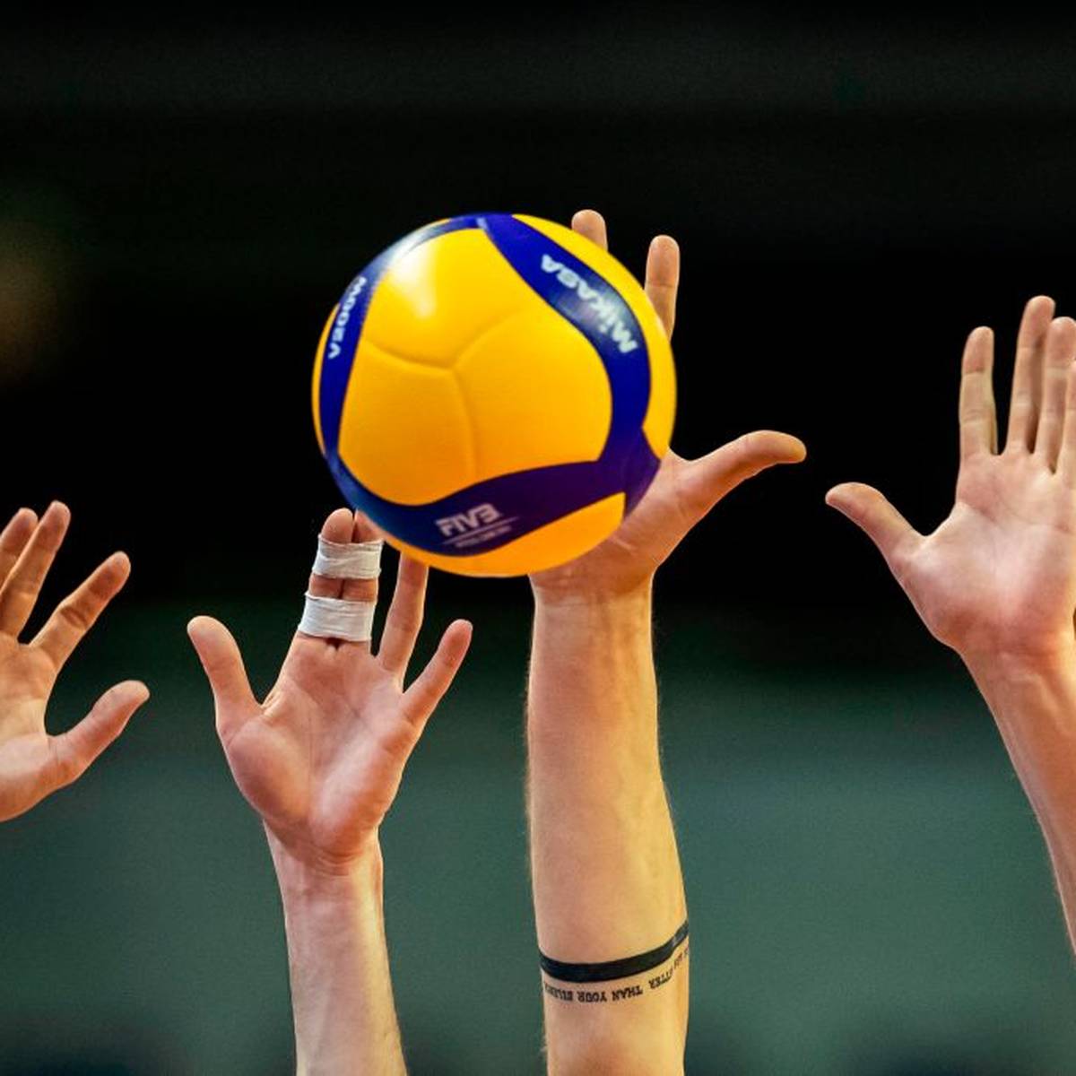 Volleyball Bundesliga Der Frauen Und Manner Werden Abgebrochen