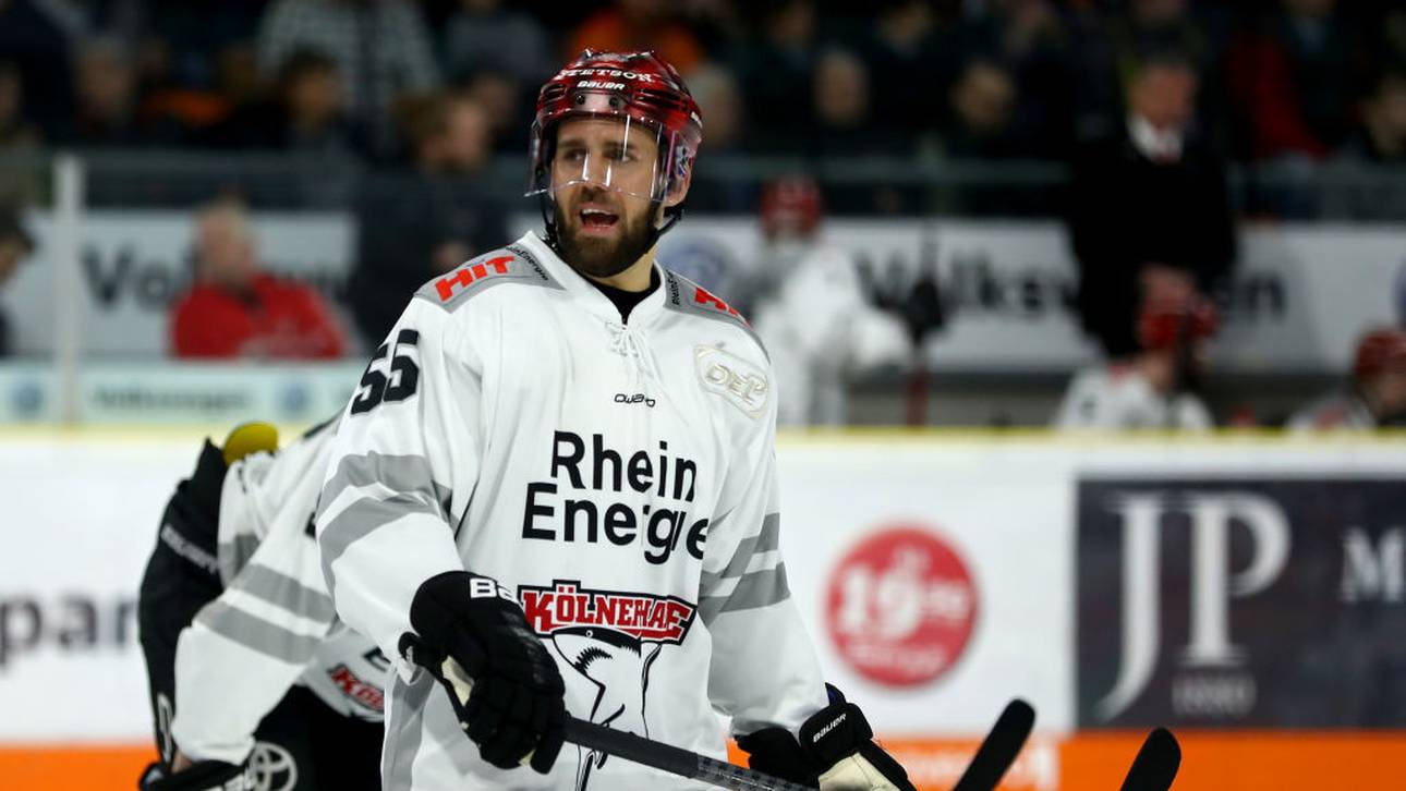 Straubing Tigers holen Schütz