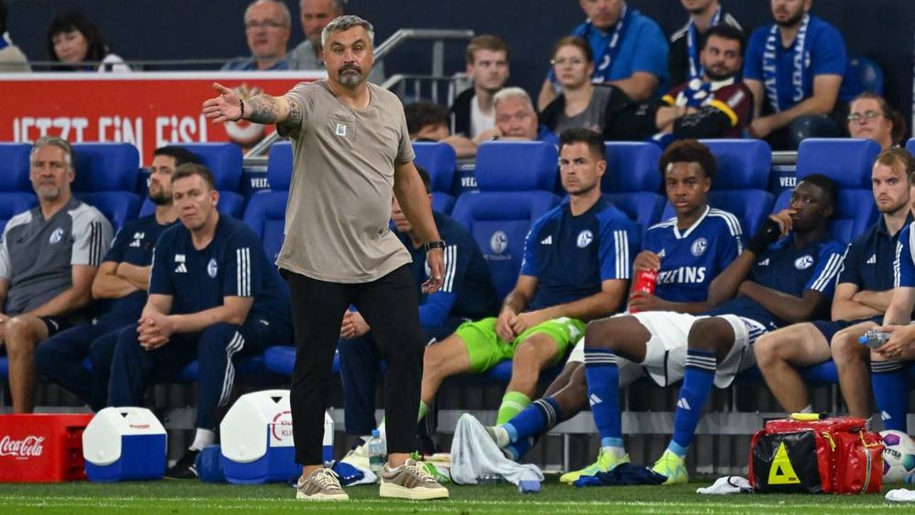 Spannende Enthüllungen zu Schalke