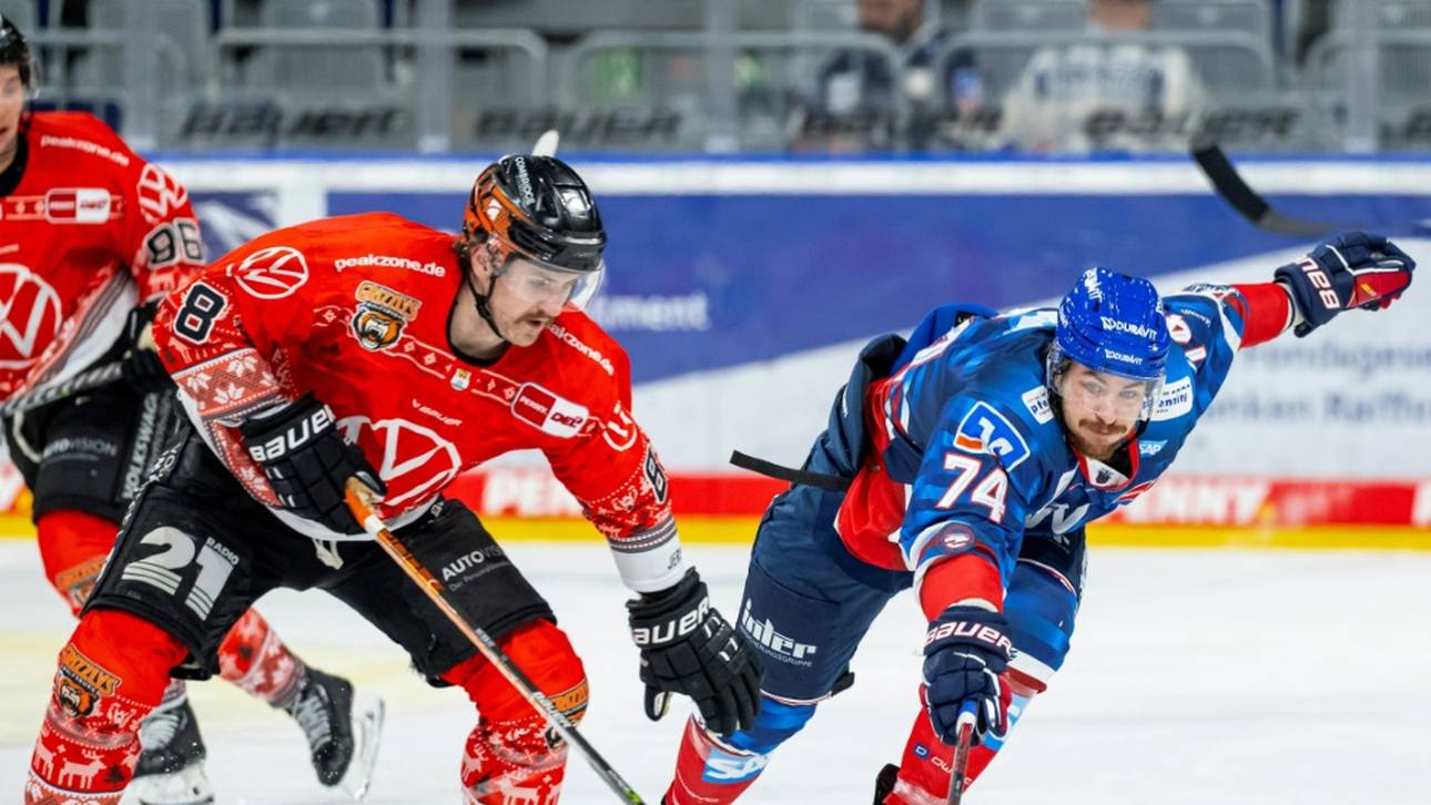 DEL: Adler holen Wolfsburg-Star