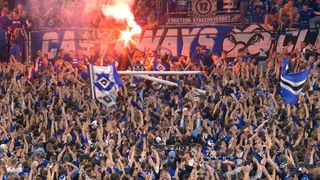 Der Hamburger SV ist aufgestiegen. Nach dem deutlichen Sieg gegen Ulm brechen im Volksparkstadion alle Dämme.