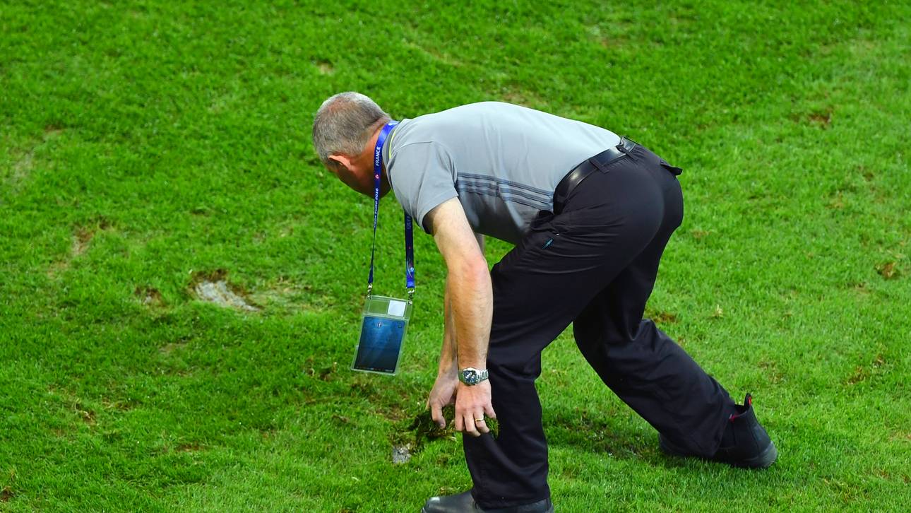 Neuer Rasen für DFB-Spiel in Lille