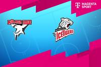 Kölner Haie - Nürnberg Ice Tigers: Tore und Highlights | PENNY DEL