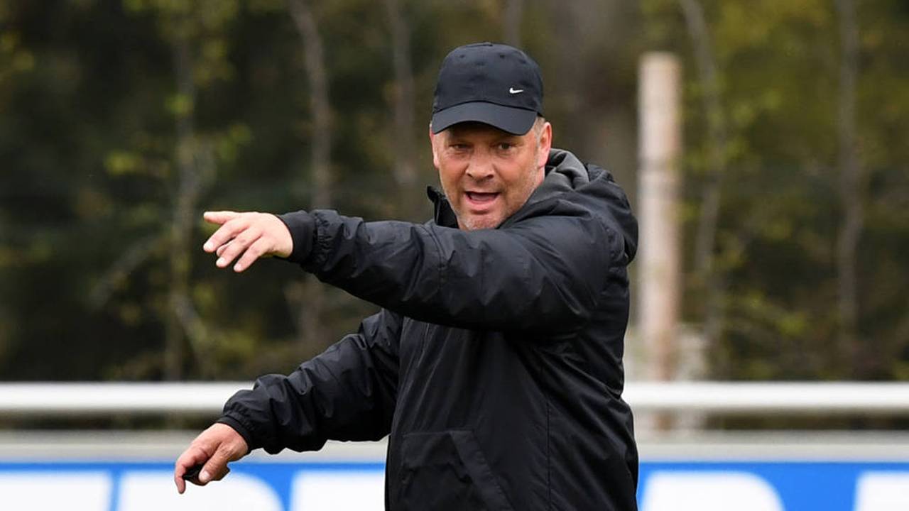 Hertha BSC: So viel soll Pal Dardai verdienen