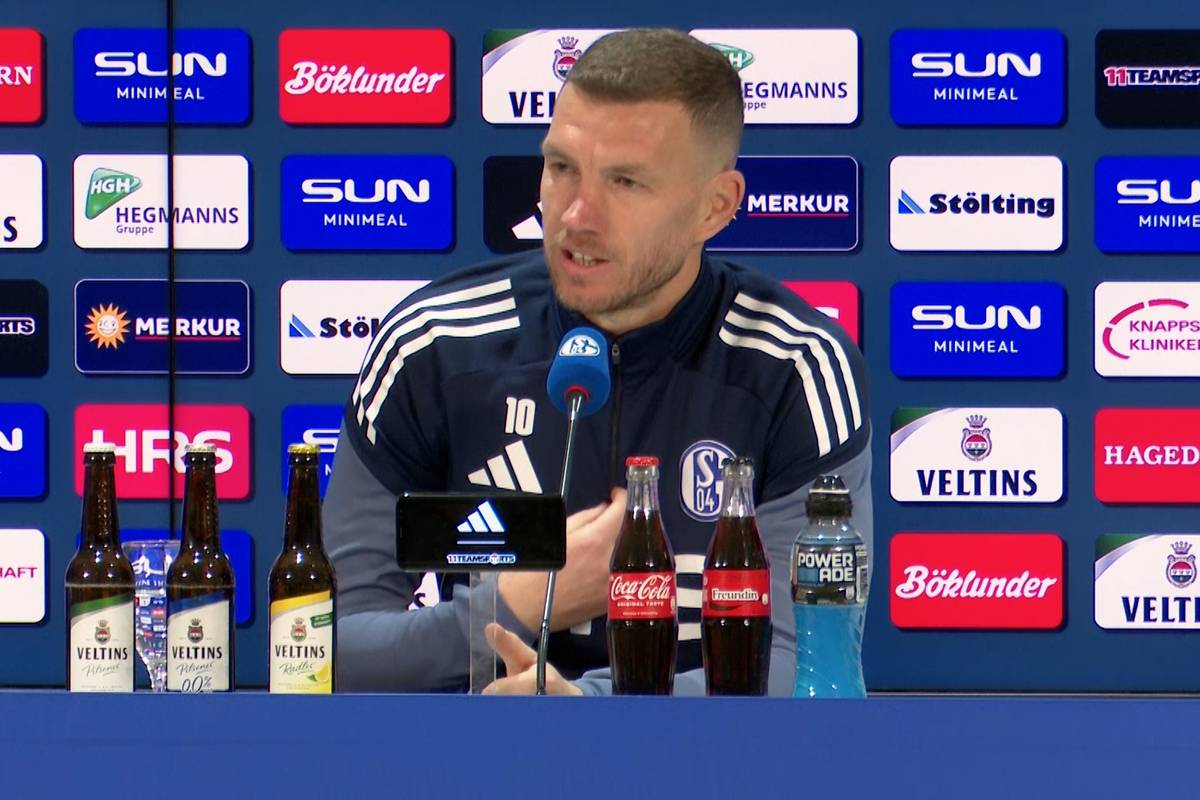 "Ich wollte nur Schalke haben"