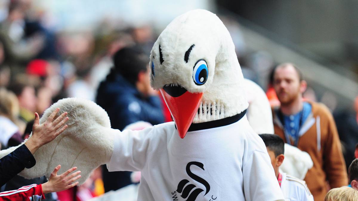 Er gilt als eines der aggressivsten Maskottchen im Sport, "Cyril the Swan". Der Schwan des walisischen Fußballvereins AFC Swansea ist in der Szene als Rempler, Platzstürmer und Raufbold bekannt. Ob mit gegnerischen Fans oder Maskottchen - Cyril fackelt nicht lange